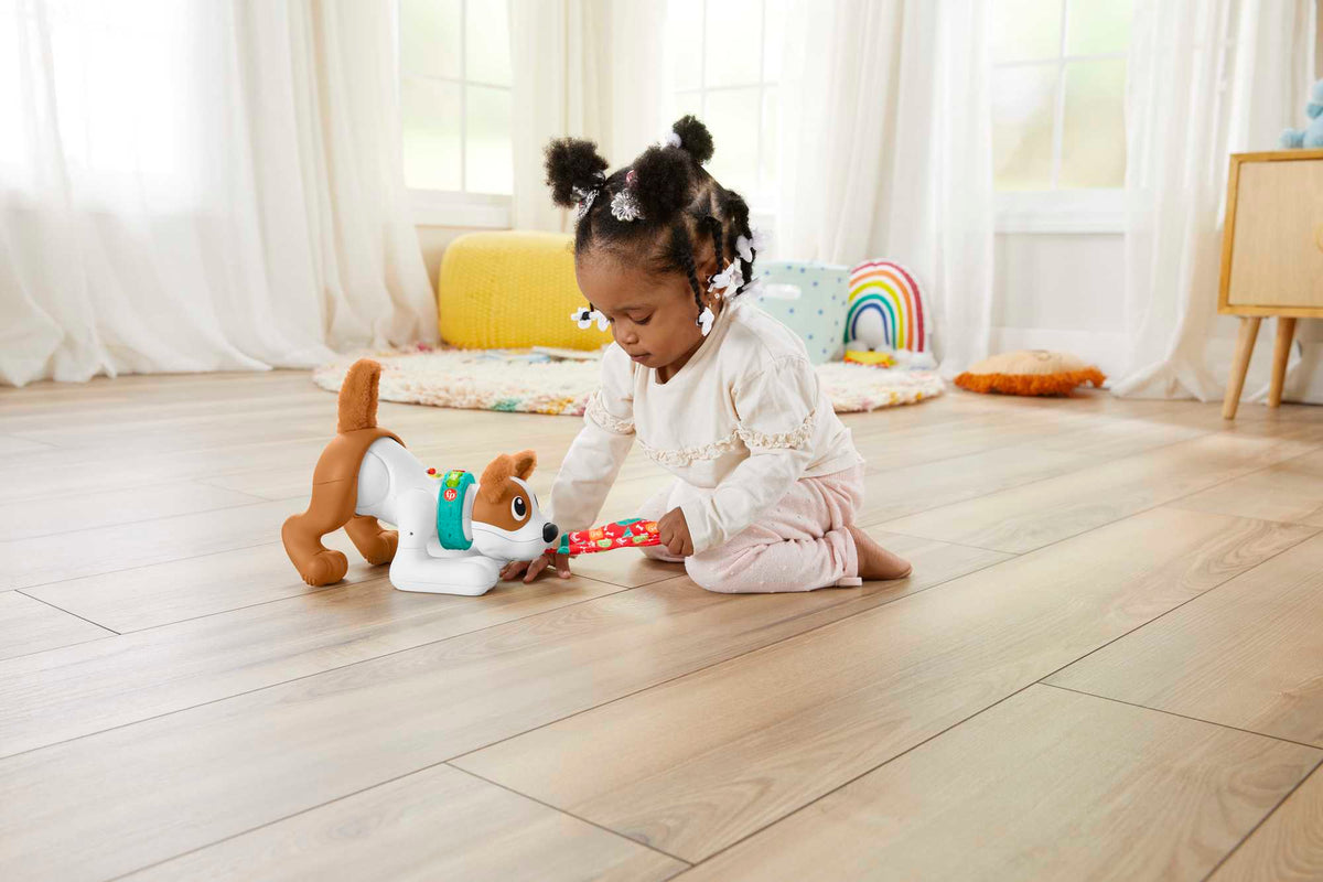 Fisher-Price 123 Crawl With Me Puppy - French Version